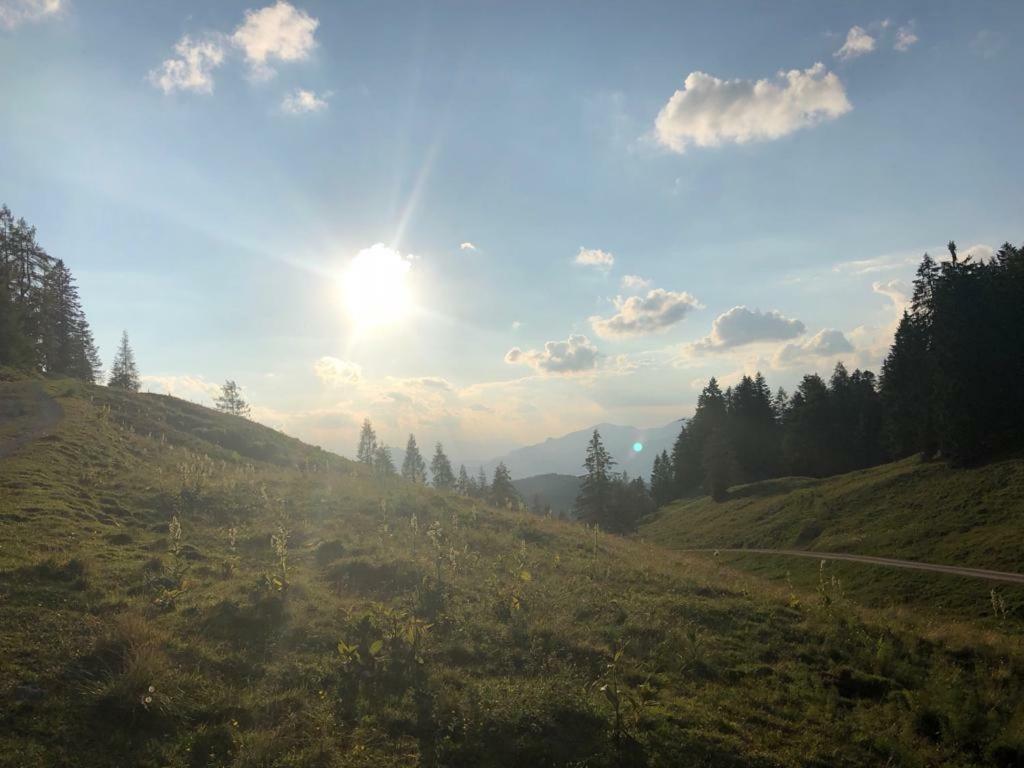 Haus Schlager "Dasappartement" Annaberg im Lammertal Dış mekan fotoğraf