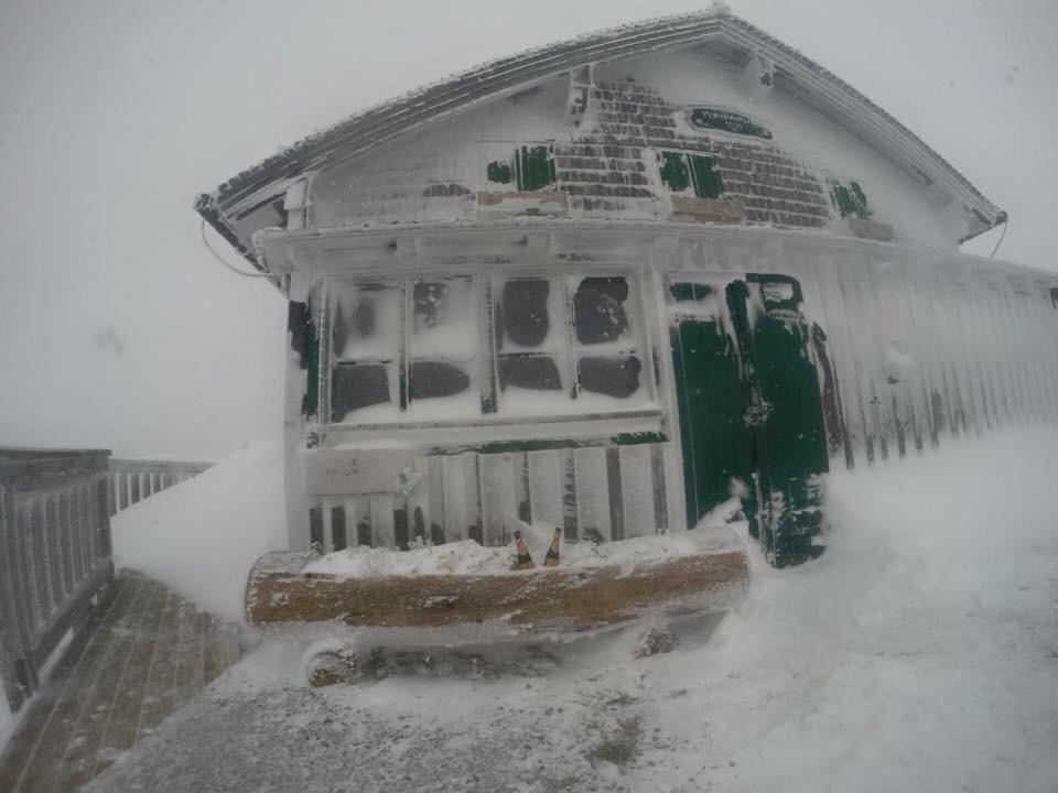 Haus Schlager "Dasappartement" Annaberg im Lammertal Dış mekan fotoğraf
